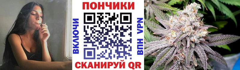 Лсд 25 Куровское