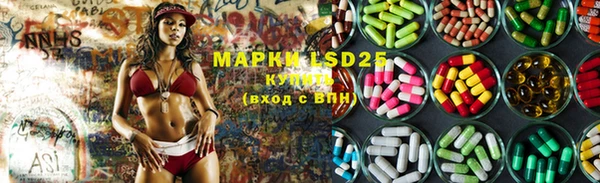 индика Воткинск