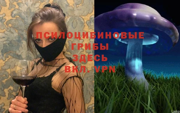 таблы Няндома