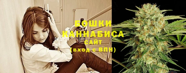 таблы Няндома