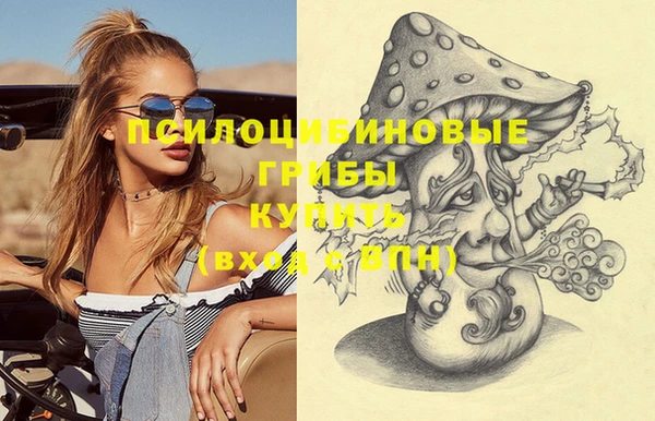 таблы Няндома