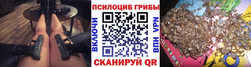 Галлюциногенные грибы прущие грибы  Куровское 